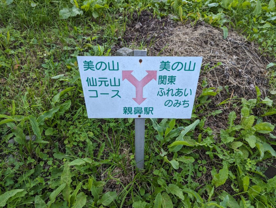 仙元山コースか関東ふれあいの道の分岐です