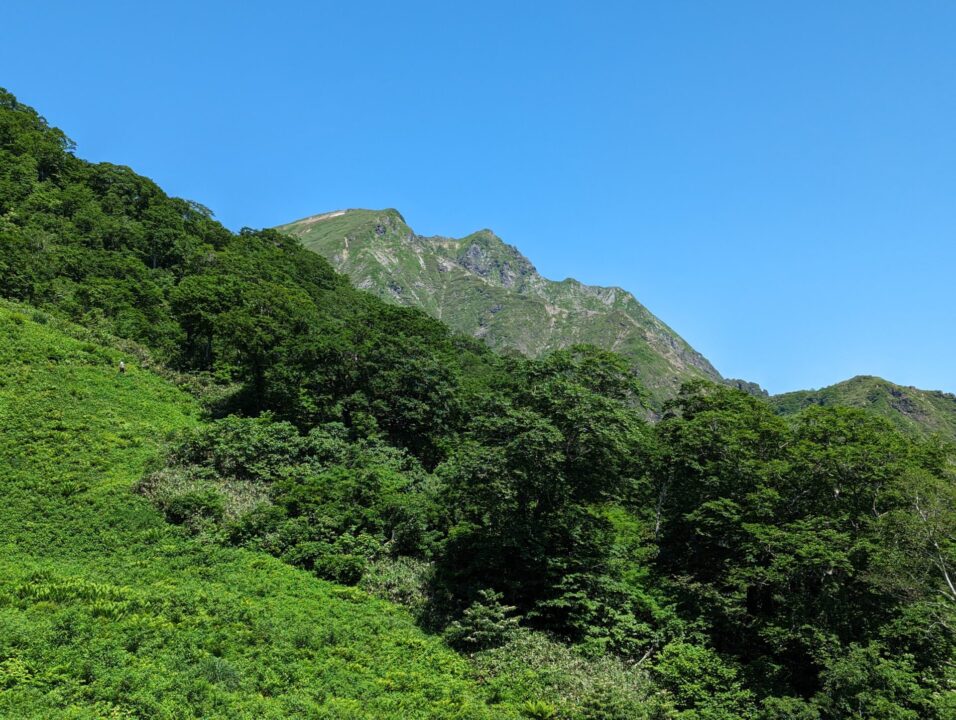 天神平から2つの耳が見えます！