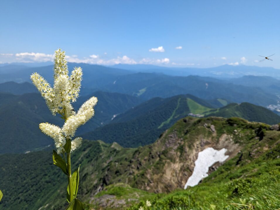 谷川岳からの眺め