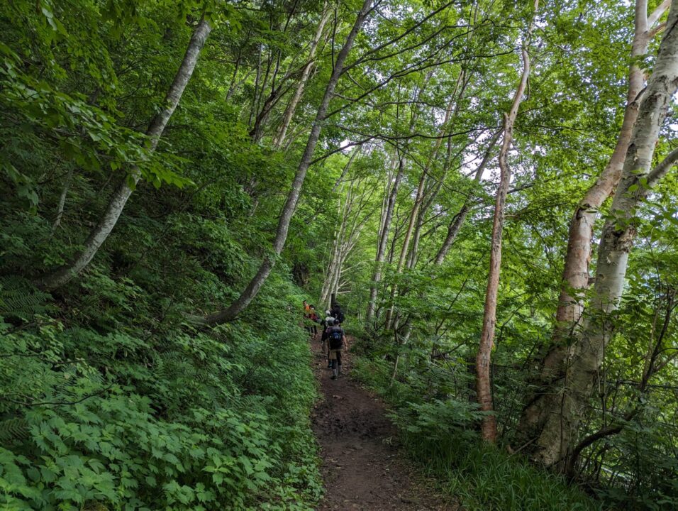 登山口付近