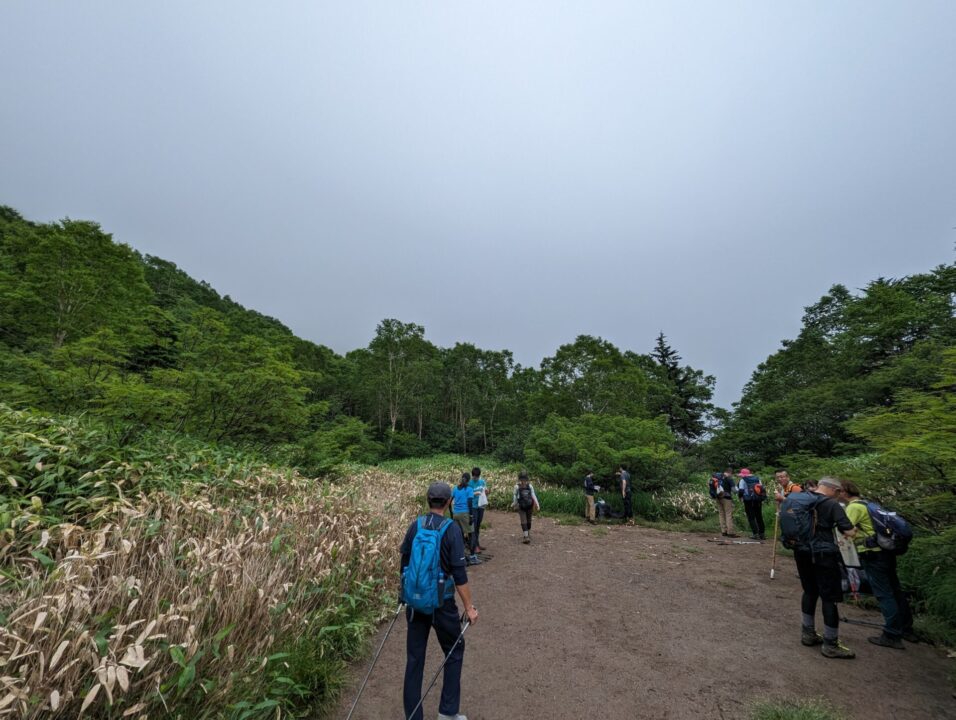 登山道の途中の広場