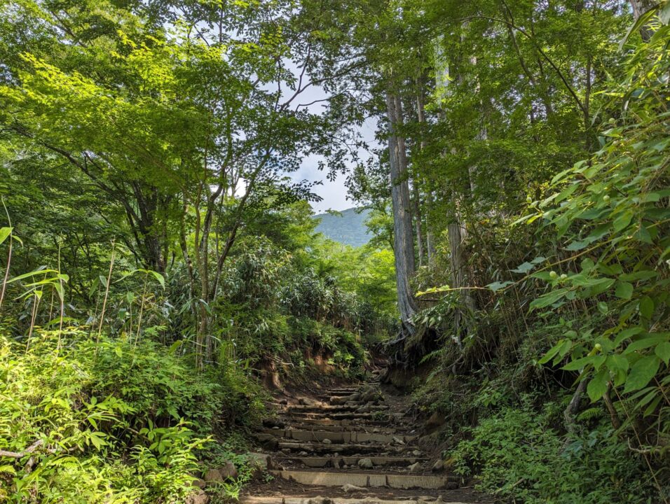 公時神社周辺の登山道