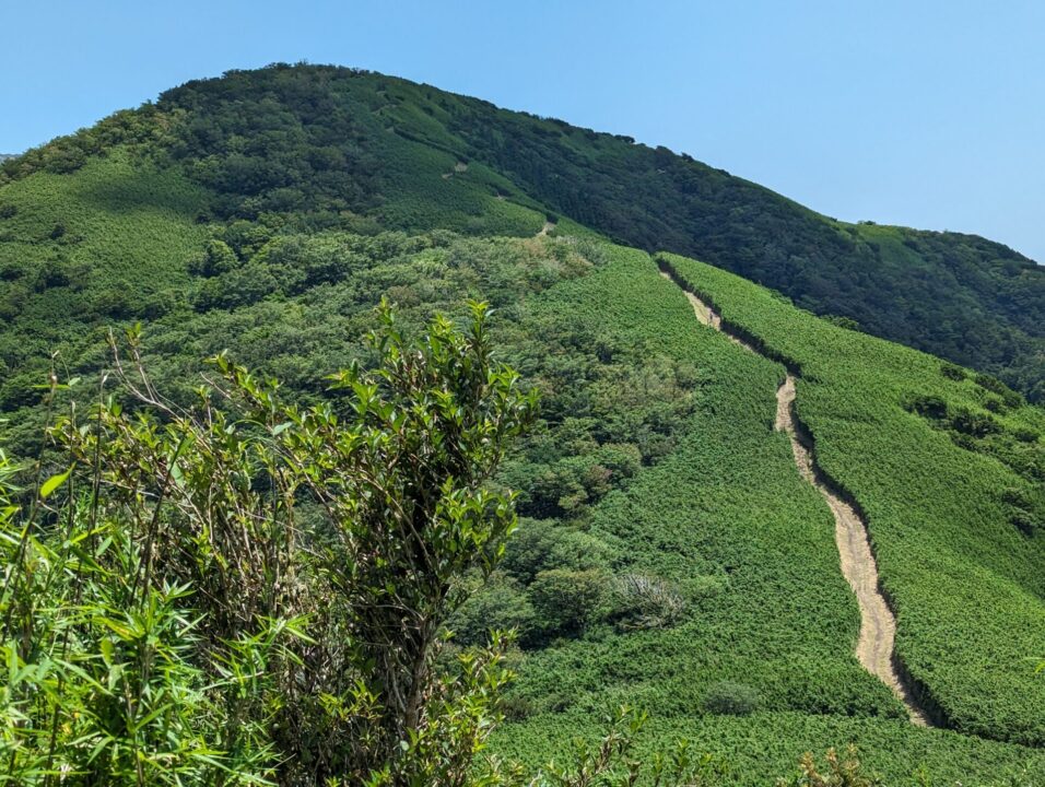 明神が岳へ向かう稜線