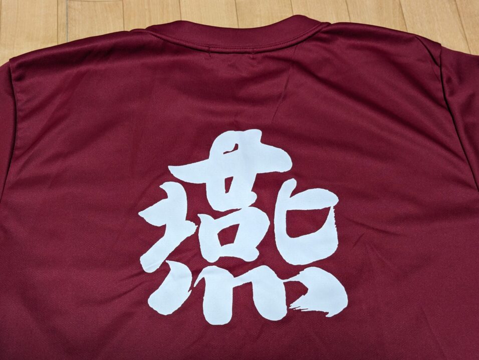 燕Tシャツ　4200円