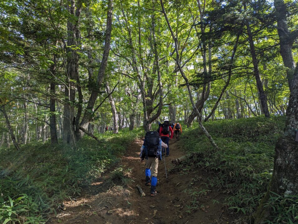 大菩薩嶺登山口付近