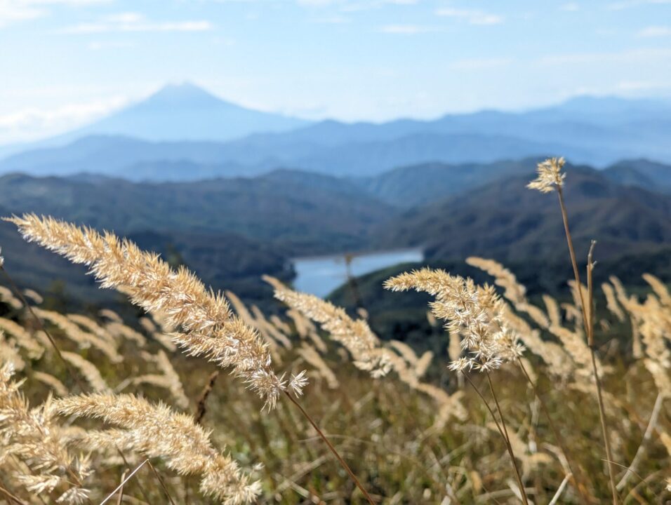 大菩薩嶺から富士山を望む