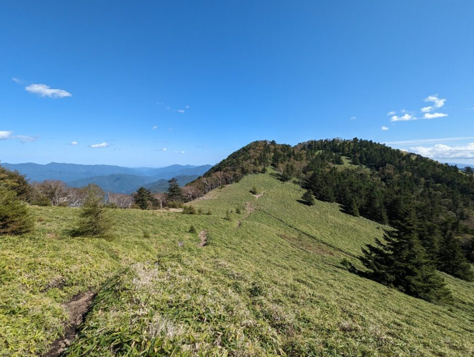 熊沢山