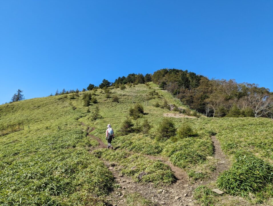 熊沢山