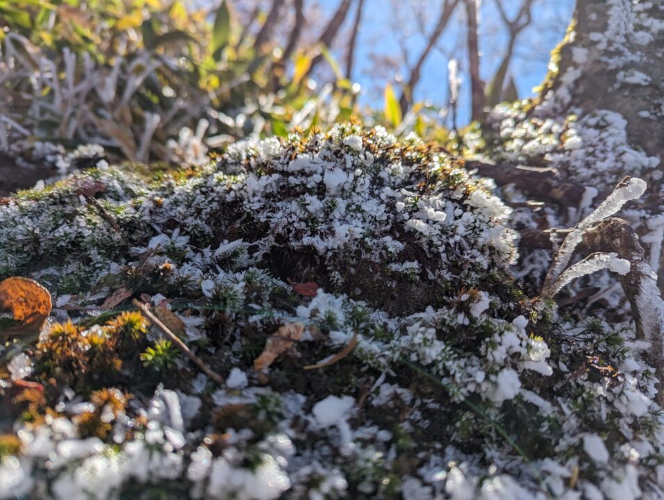黒檜山の登山道　雪が残っていました