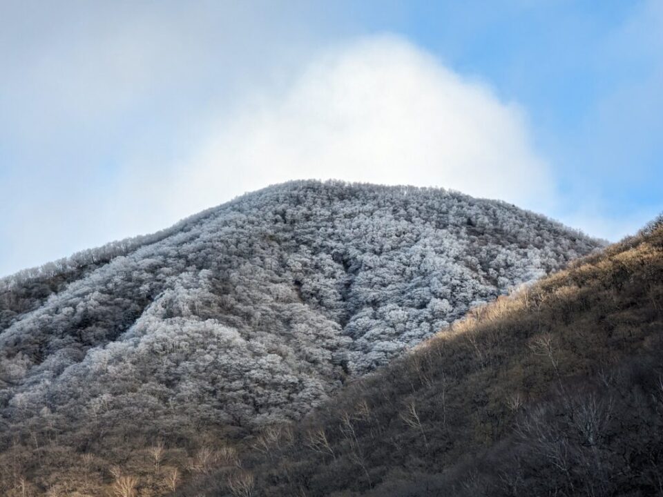 1月朝の黒檜山