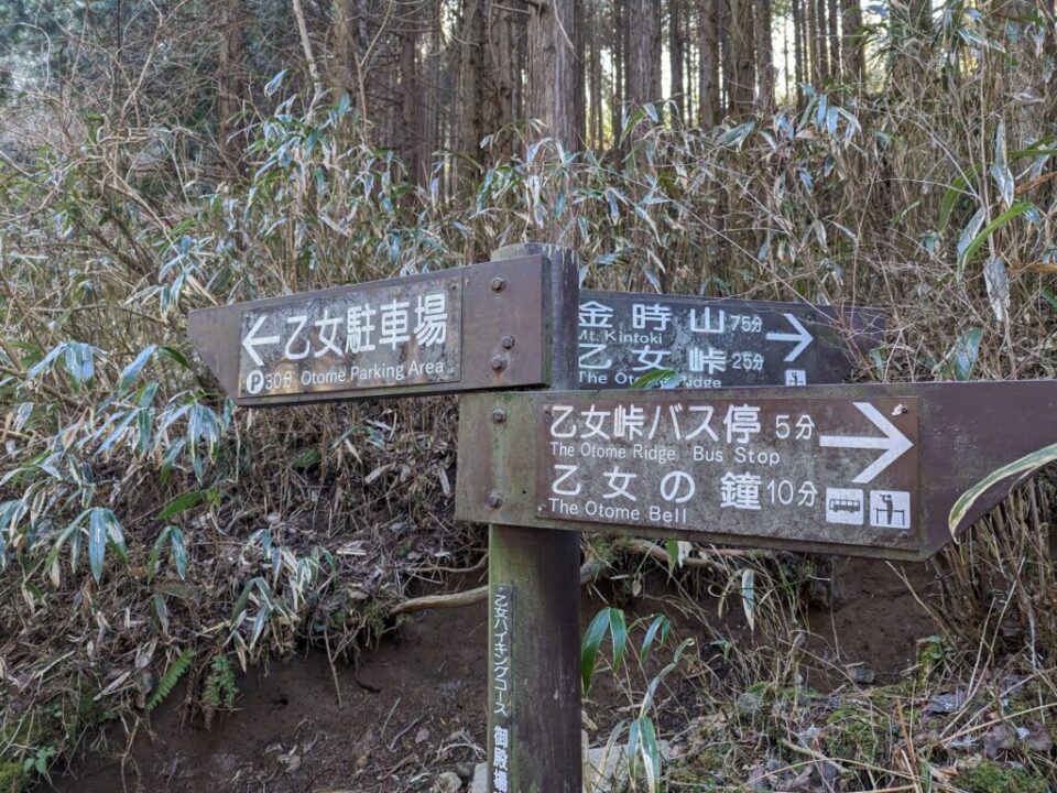 林道から乙女峠への入り口