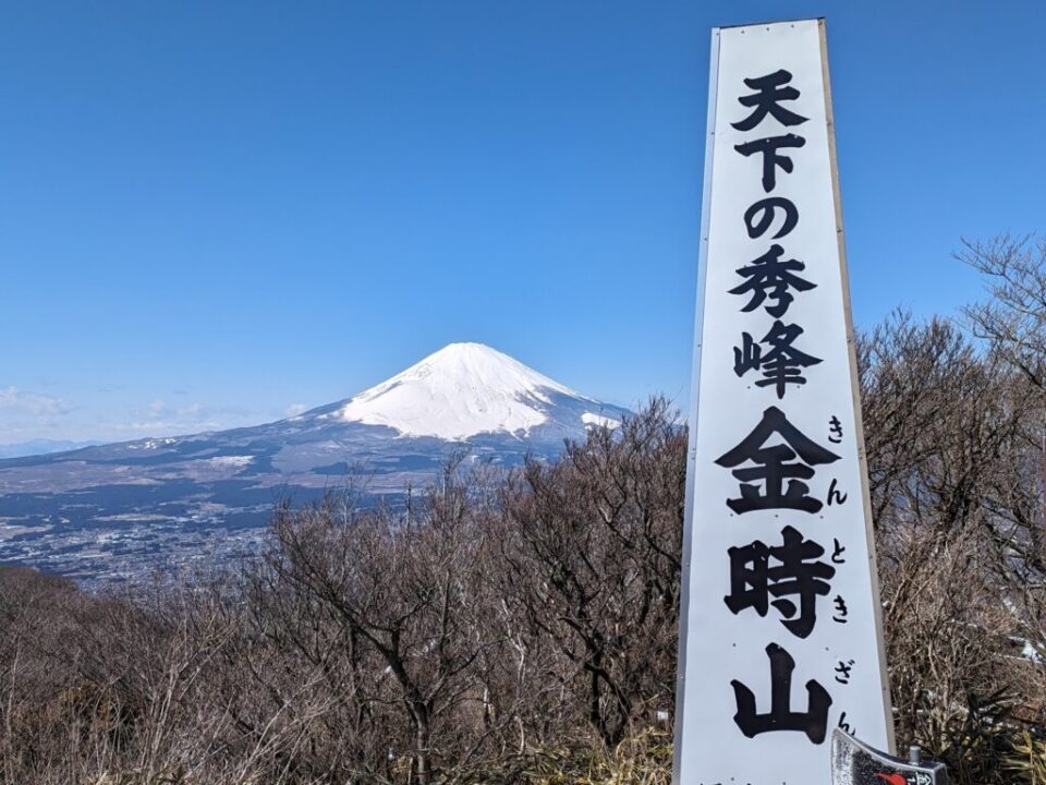 金時山山頂から富士山を望む