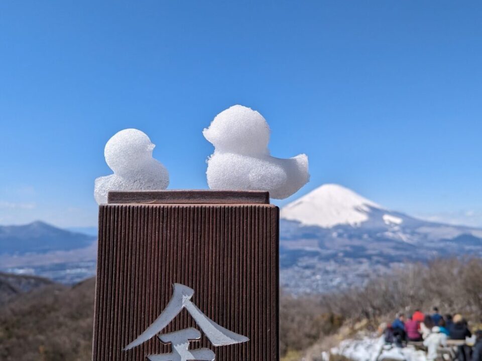 アヒル隊長と富士山