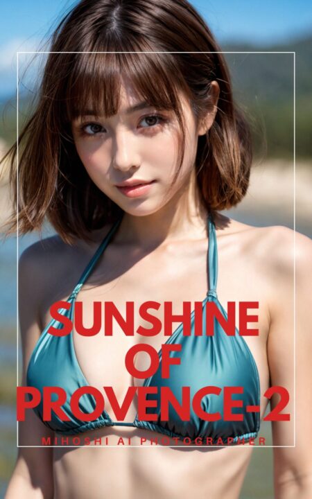 sunshine of provence-2表紙