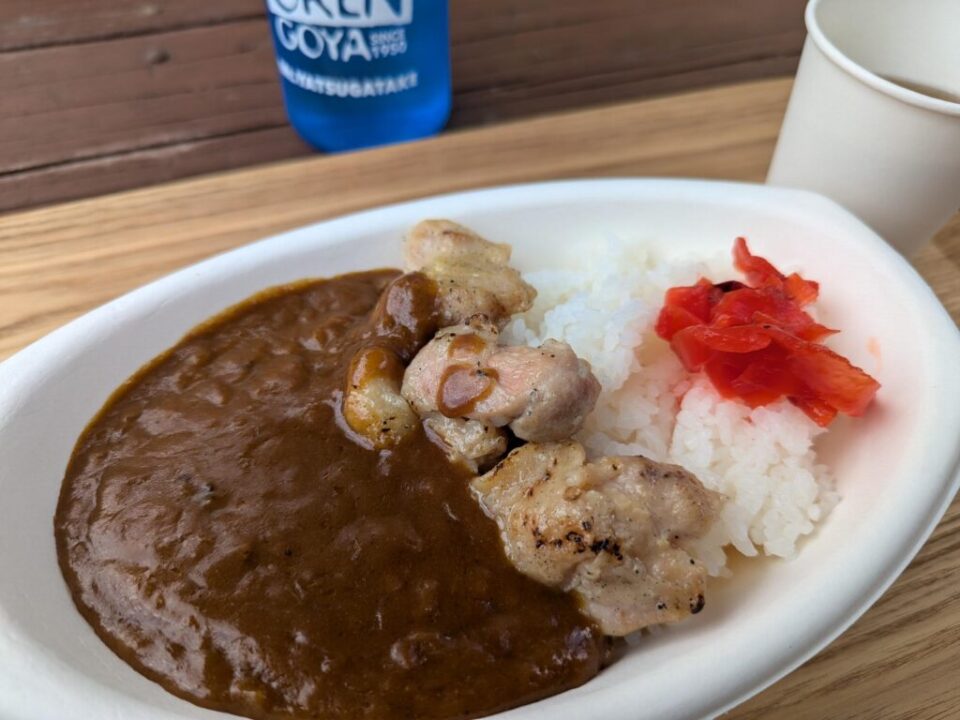 オーレン小屋のチキンカレー