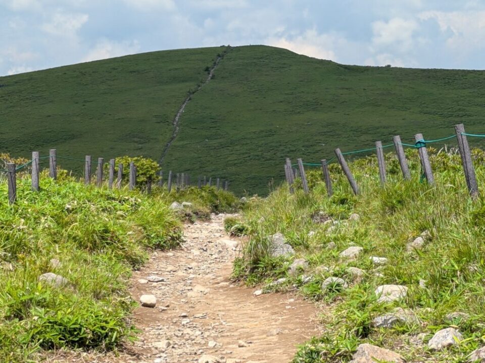 正面のこんもりとした丘が蝶々深山です