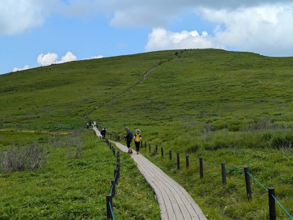 蝶々深山