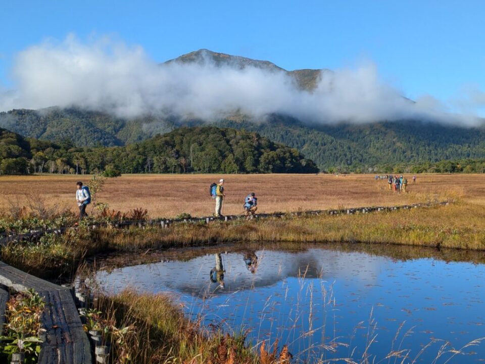 草紅葉、至仏山、尾瀬ヶ原