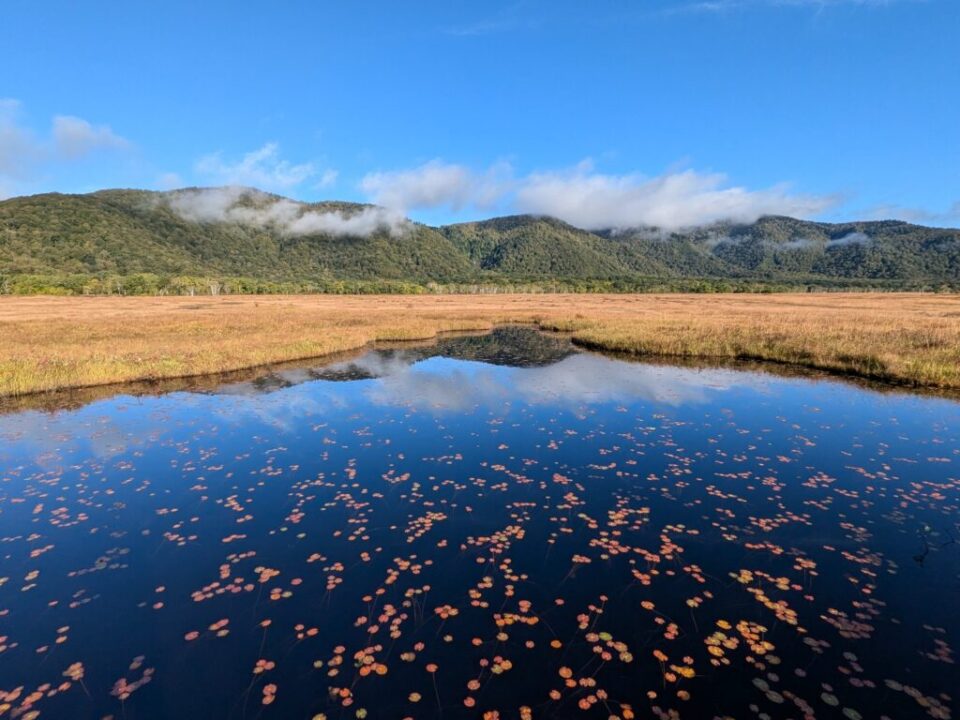 秋の尾瀬ヶ原