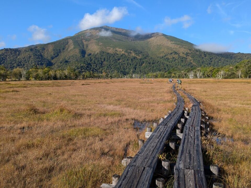 草紅葉のなか至仏山へ