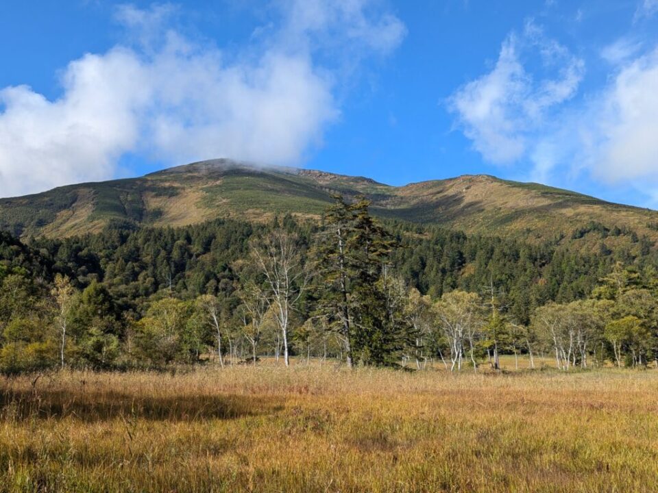 山の鼻から至仏山を望む