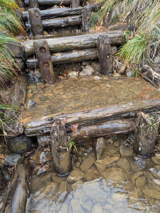 水たまりの登山道