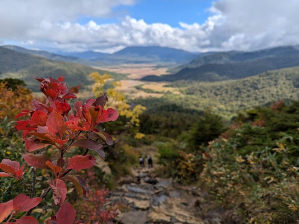 秋の至仏山　登山道