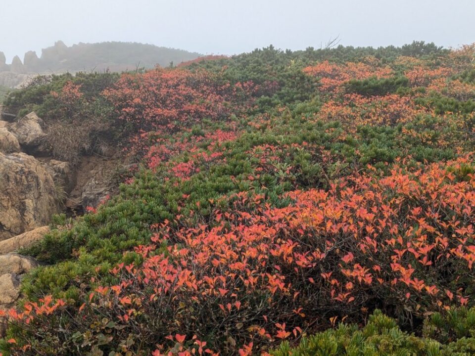 至仏山の稜線