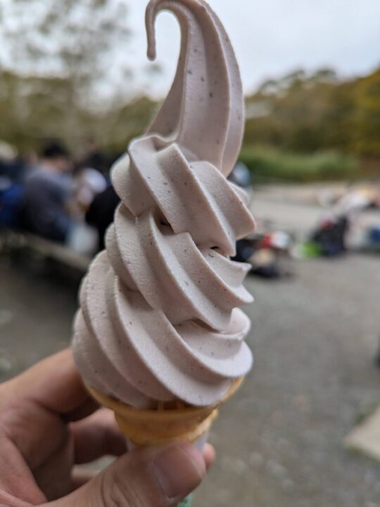 鳩待峠の花豆ソフトクリーム