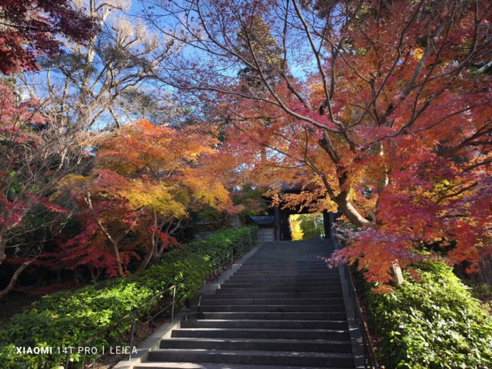 円覚寺