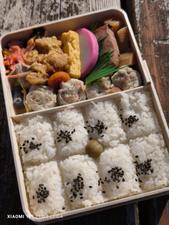 崎陽軒のシュウマイ弁当