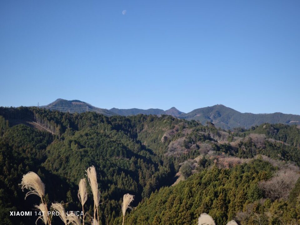 登山道から大岳山、日の出山