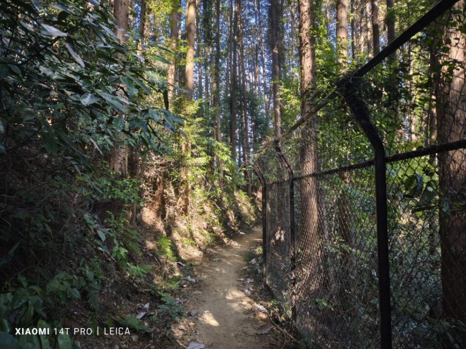 冬の赤ぼっこ登山道