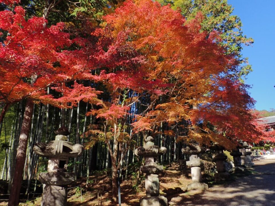 能仁寺参道