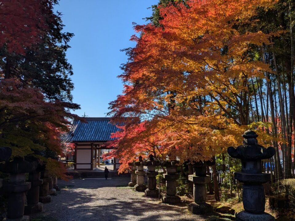 能仁寺参道