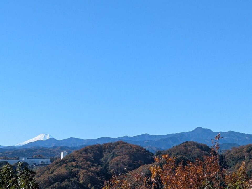 天覧山から富士山