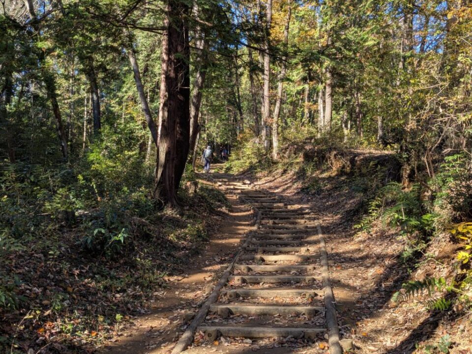 多峯主山への見返り坂