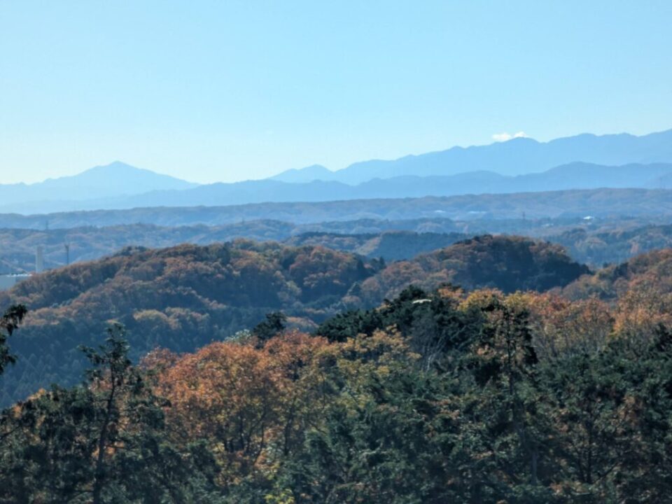 多峯主山から丹沢