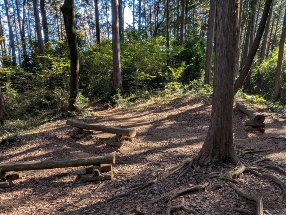 多峯主山　登山道のベンチ