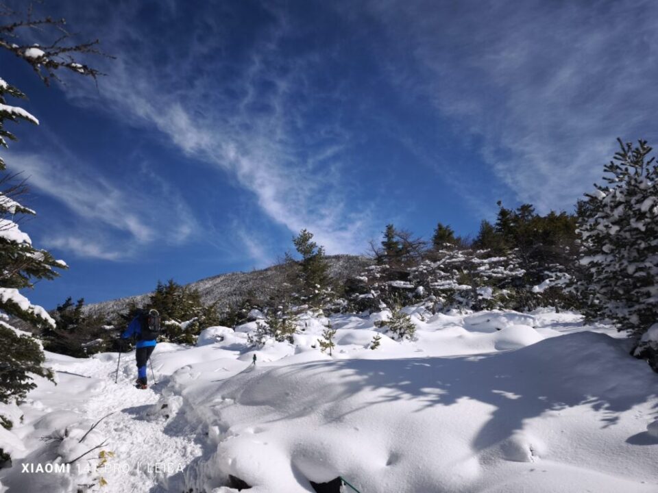 空の蒼さを感じる登山道