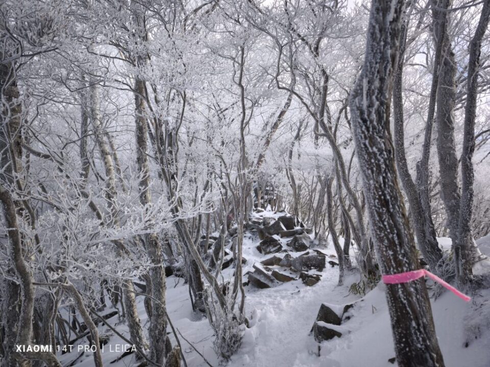 黒檜山登山道