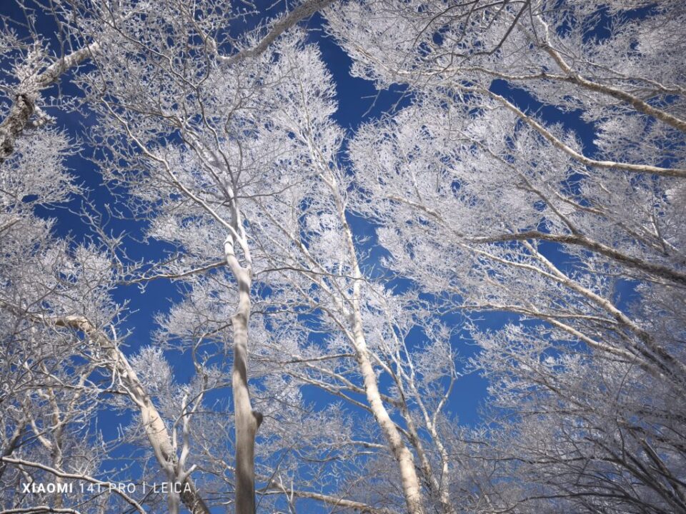 黒檜山登山道