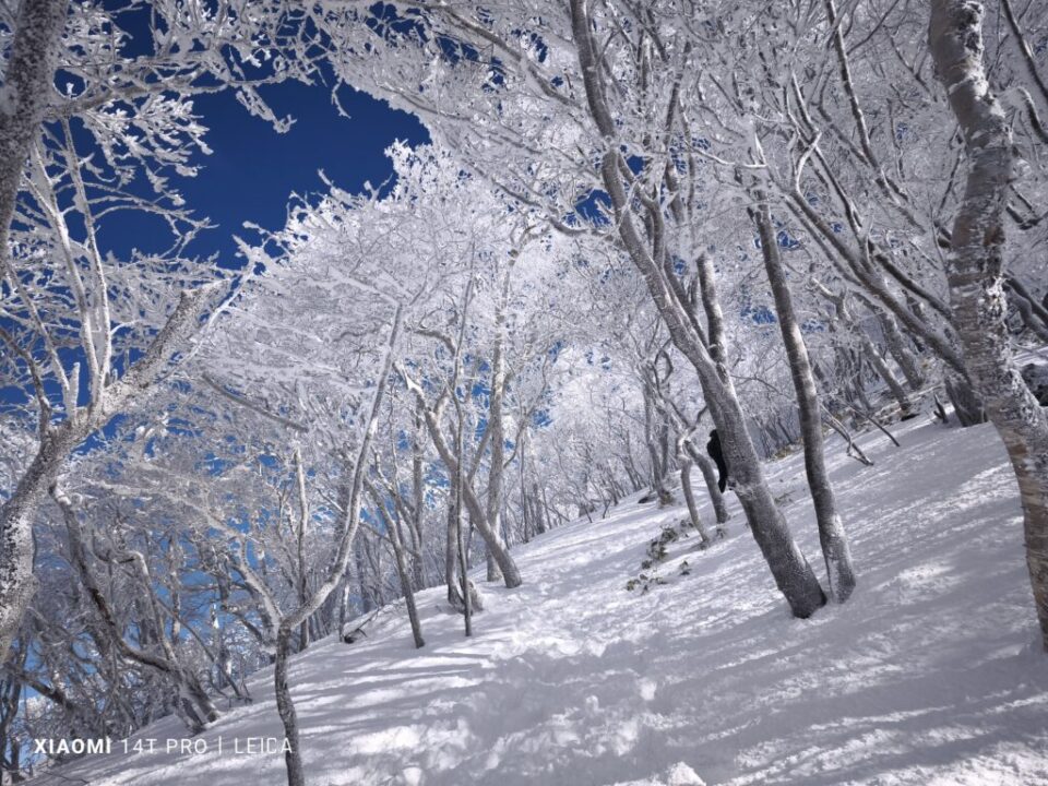 黒檜山登山道