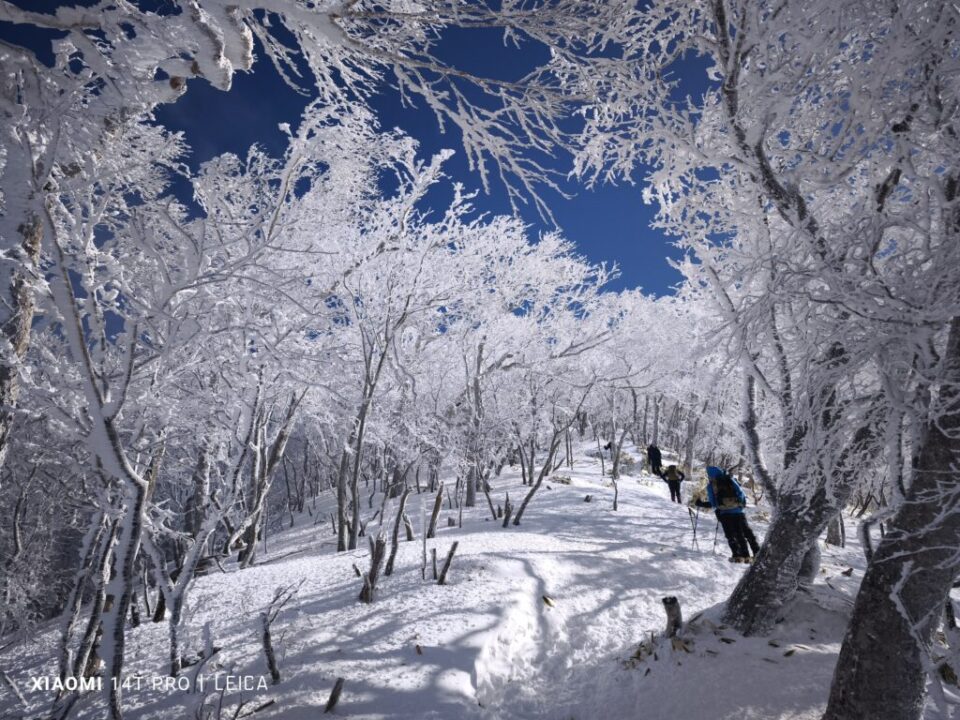 黒檜山登山道