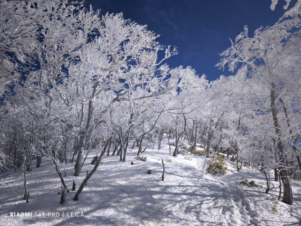 黒檜山登山道