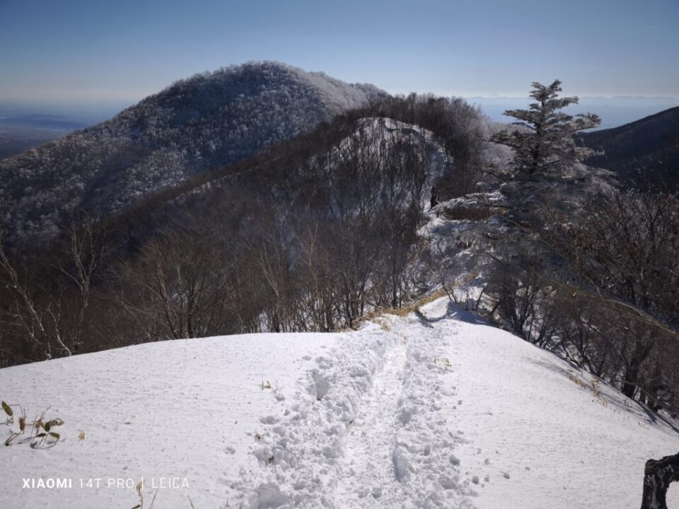 大ダルミから駒ケ岳を望む