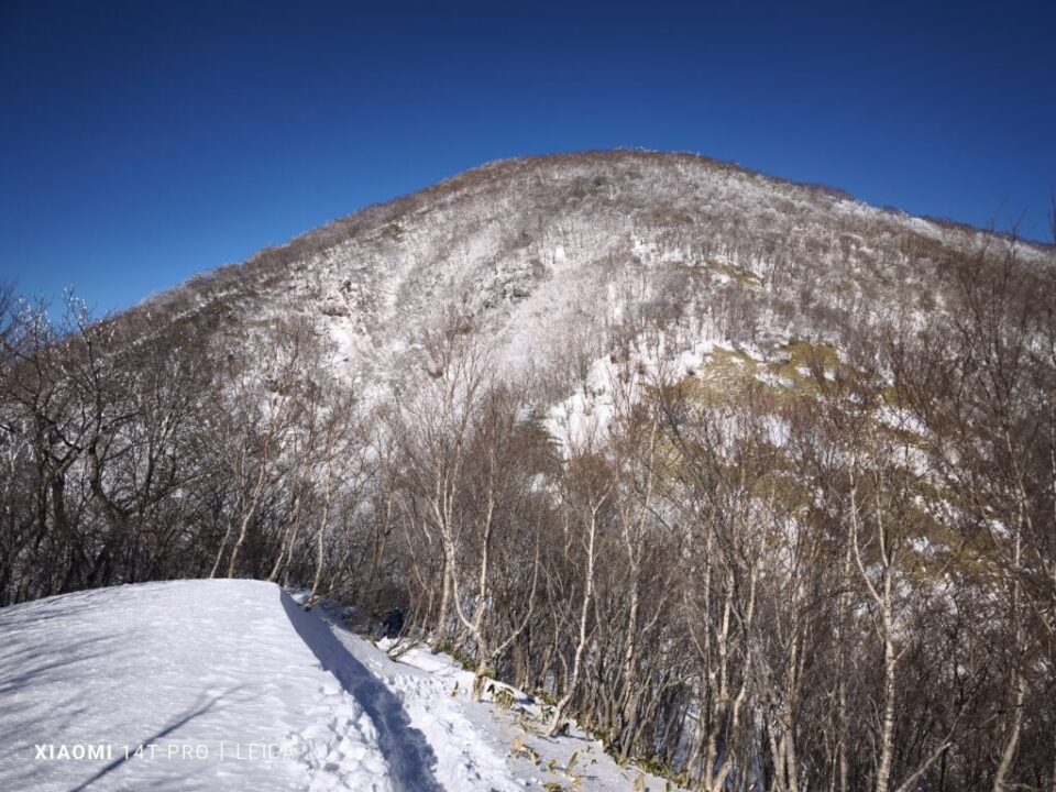 大ダルミから黒檜山を見返す