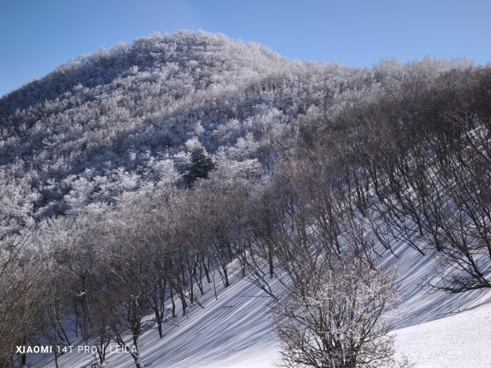 大ダルミから駒ケ岳を望む