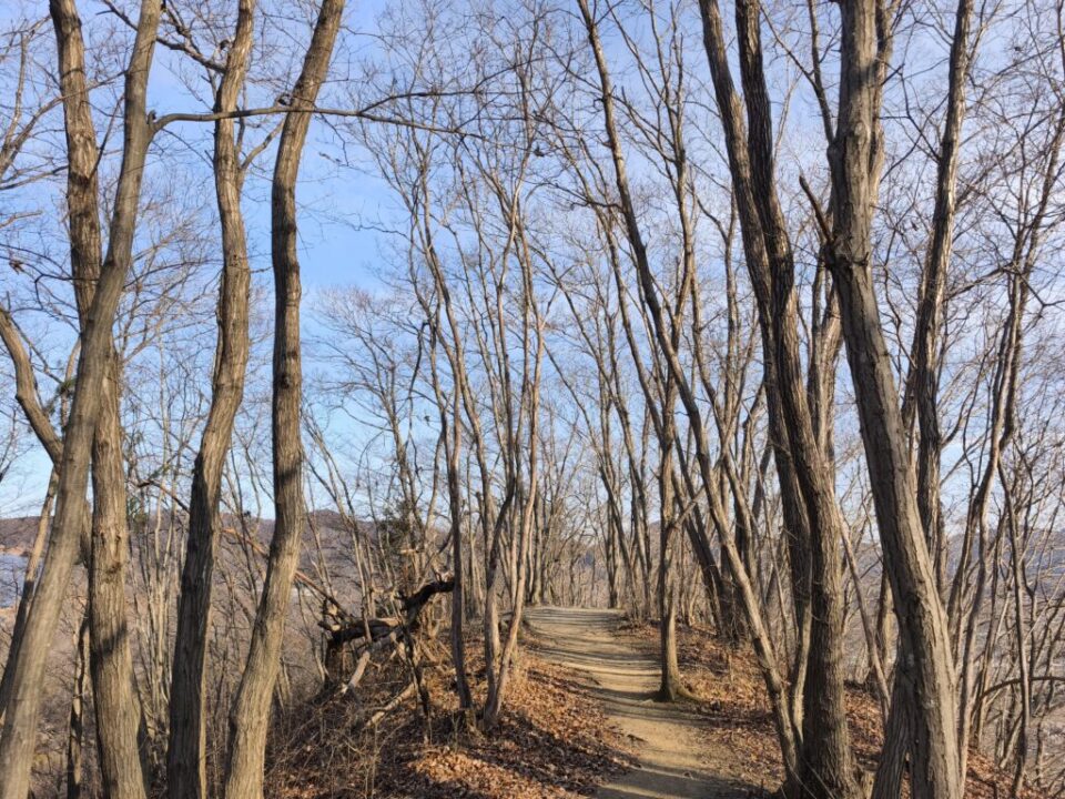 長瀞アルプス登山道