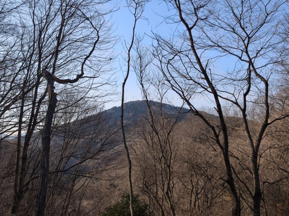 長瀞アルプス登山道から宝登山